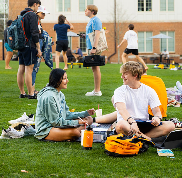 group of students gather on campus in a public green space